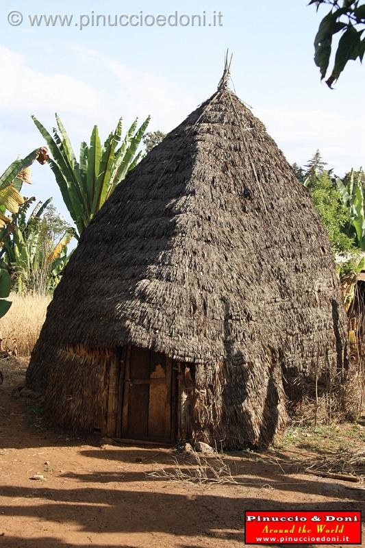 Ethiopia - Wolayta e la falsa banana - 2.jpg
